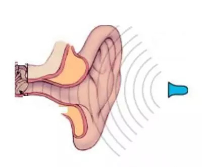 助听器如何应对堵耳效应-堵耳效应是一个古老而永久的话题