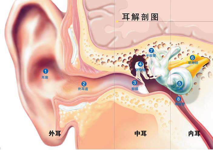 验配师的挑战：分化与泛化