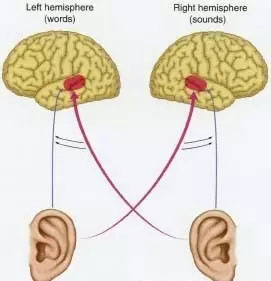 单耳听力损失，损失的是个人对命运的把握能力
