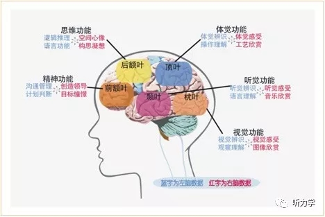 【小儿听力学】为什么听力损失儿童应尽早干预？